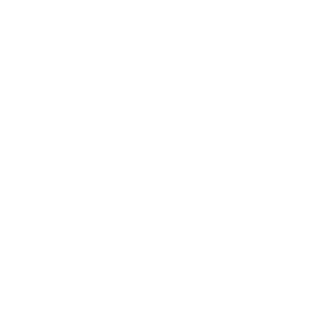 New Energy