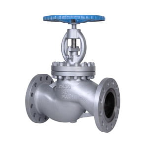 Globe Valve